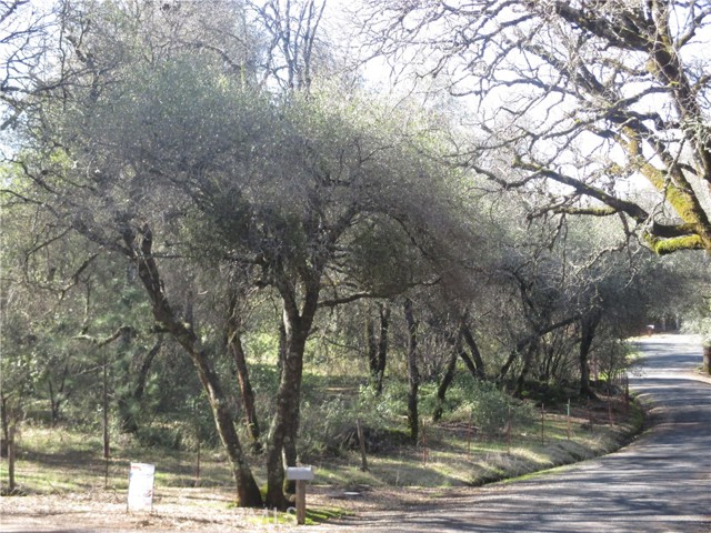 15 Hide A Way Road, Oroville CA: https://media.crmls.org/medias/43266861-35fb-483a-8f72-e4eb72baf0f9.jpg