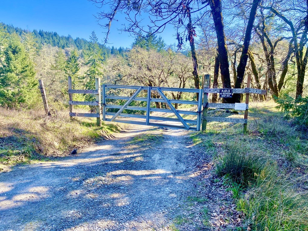 32010 State Highway 36, Unincorporated, CA 95526