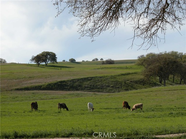 Detail Gallery Image 5 of 18 For 0 Nickel Creek Rd, San Miguel,  CA 93451 - – Beds | – Baths
