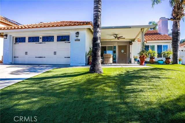 Front of the house low maintenance turf