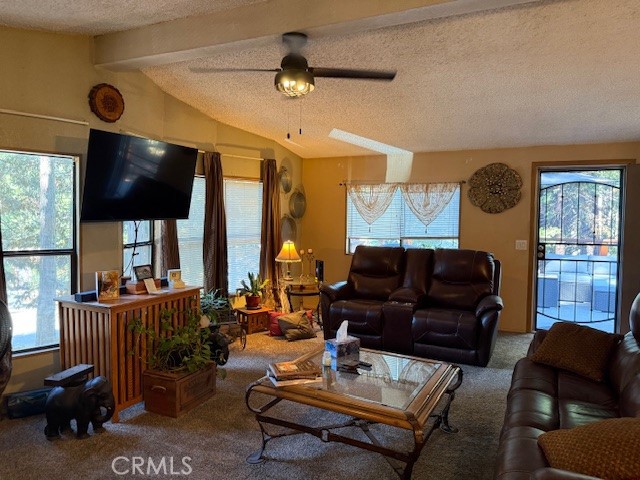 Detail Gallery Image 33 of 67 For 6217 Kilgord Ct, Magalia,  CA 95954 - 2 Beds | 2 Baths
