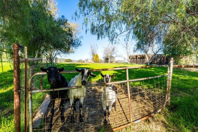 Detail Gallery Image 63 of 75 For 76945 Indian Valley, San Miguel,  CA 93451 - 7 Beds | 5/1 Baths