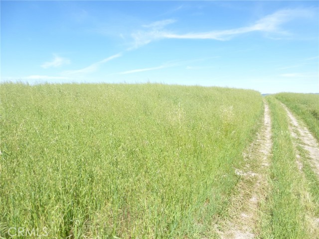 Detail Gallery Image 26 of 44 For 0 Douglas Rd. (Lot 34), San Miguel,  CA 93451 - – Beds | – Baths