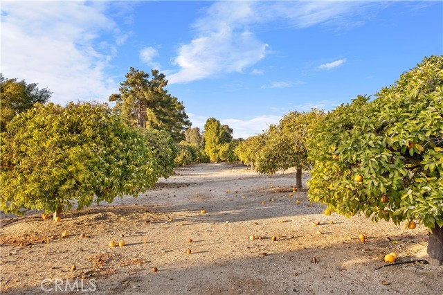 Detail Gallery Image 34 of 54 For 34554 the Farm Rd, Wildomar,  CA 92595 - 3 Beds | 2 Baths