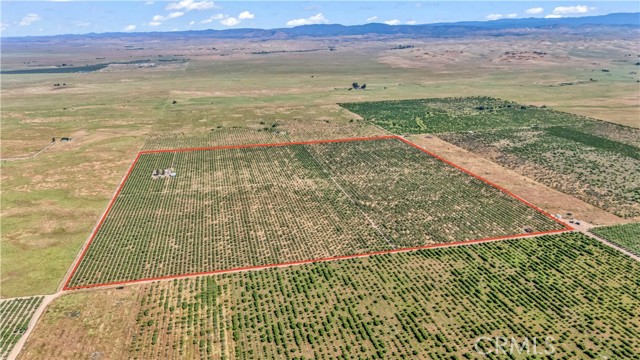 Image 17 of 21 For 0 Buchanan Hollow Road