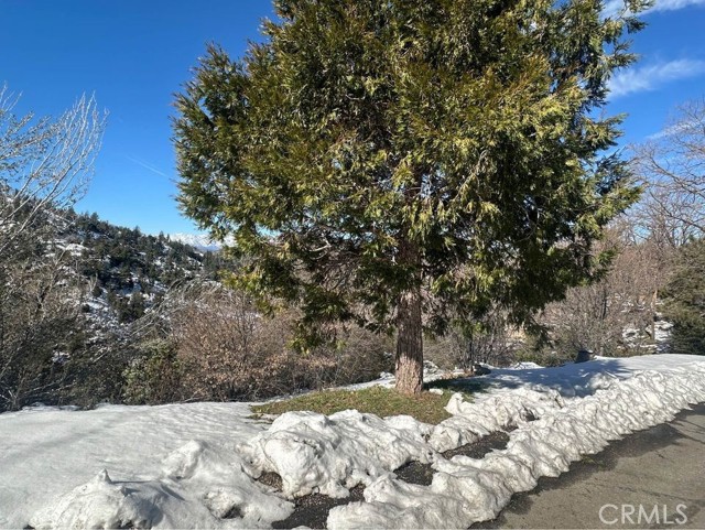 Detail Gallery Image 1 of 7 For 1500 Edgecliff Dr, Lake Arrowhead,  CA 92352 - – Beds | – Baths