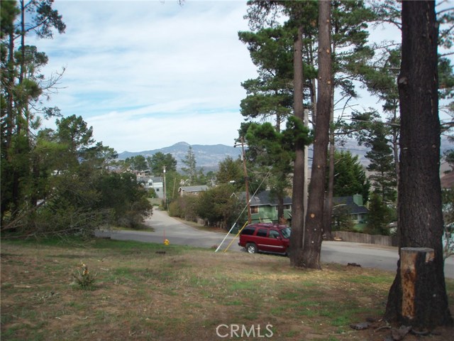 0 Pineridge Drive, Cambria, California 93428, ,Land,For Sale,0 Pineridge Drive,CRSC19276853