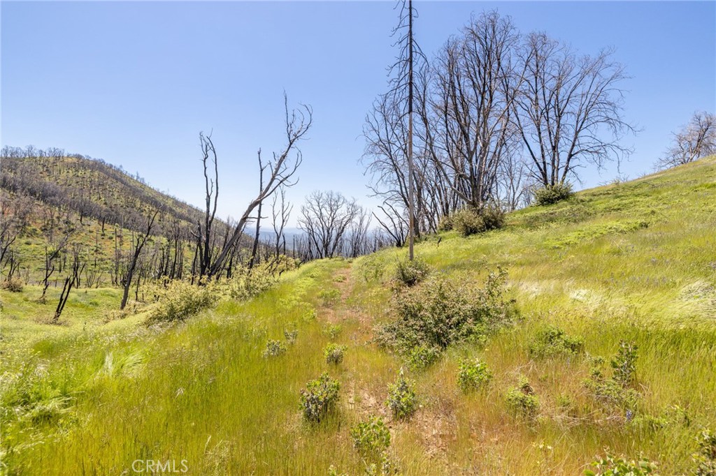 MLS #MP25088475 image #65