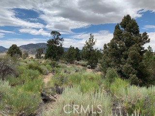 0 Ponderosa, Big Bear City, California 92314, ,Land,For Sale,0 Ponderosa,CROC20150732