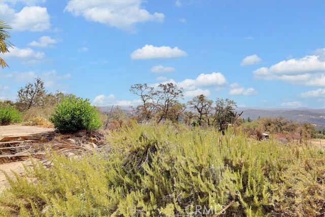 Detail Gallery Image 63 of 69 For 9018 Winding Way, Oregon House,  CA 95962 - – Beds | – Baths