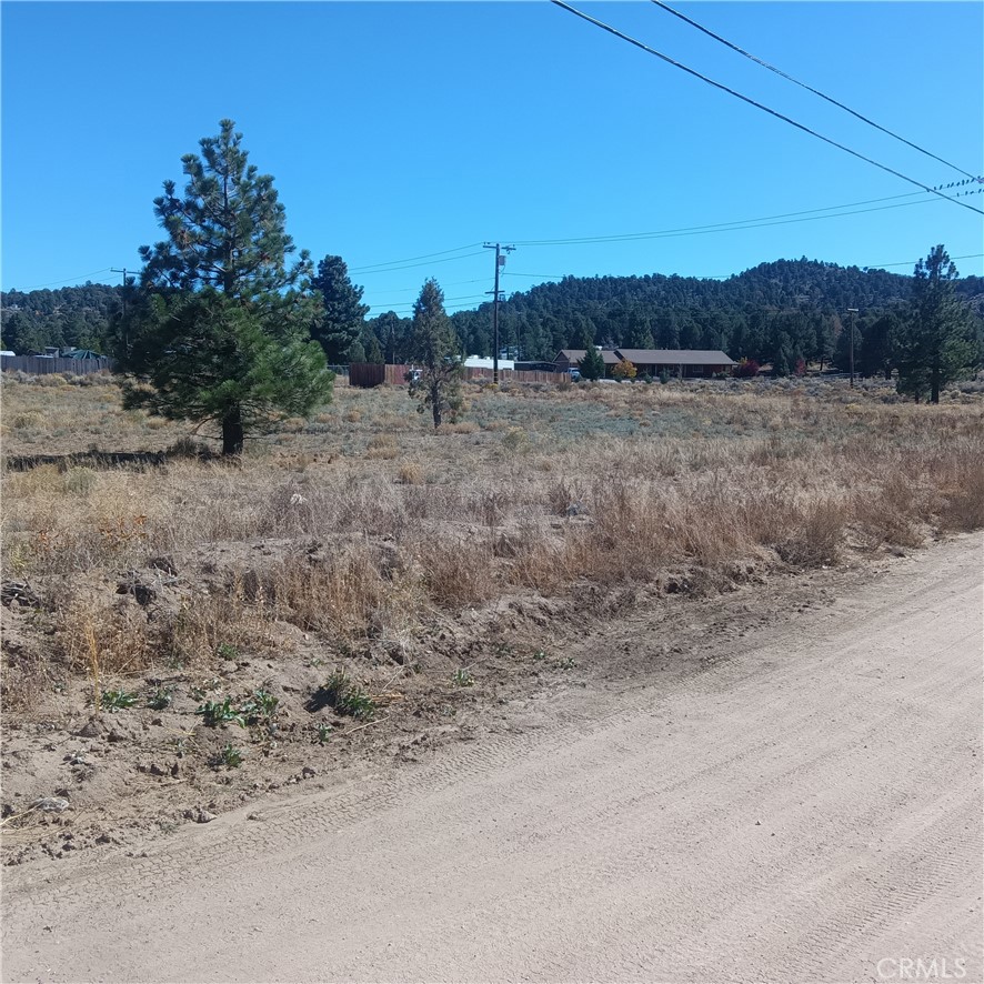 MLS #JT25255966 image #10