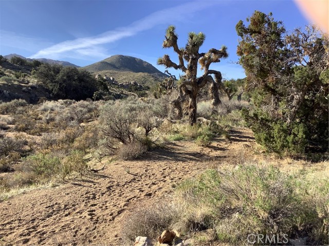 0 Bowen Ranch, Apple Valley, CA, 92308 0 Bowen Ranch, Apple Valley, CA, 92308