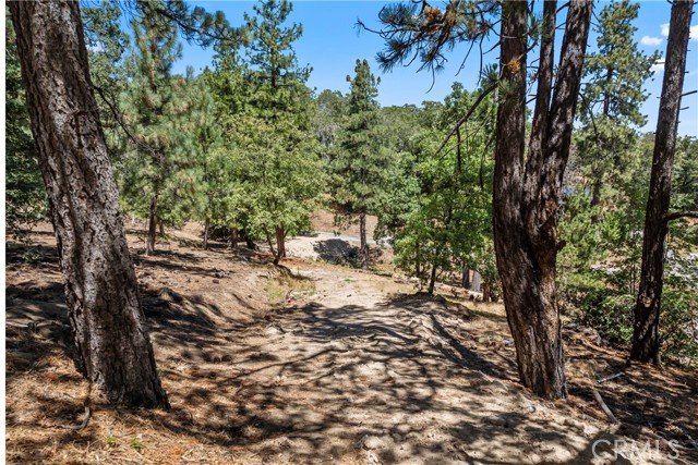 27115 Spring Lane, Lake Arrowhead CA: https://media.crmls.org/medias/43581f5b-1f2e-4f90-9303-e1a06ee42160.jpg