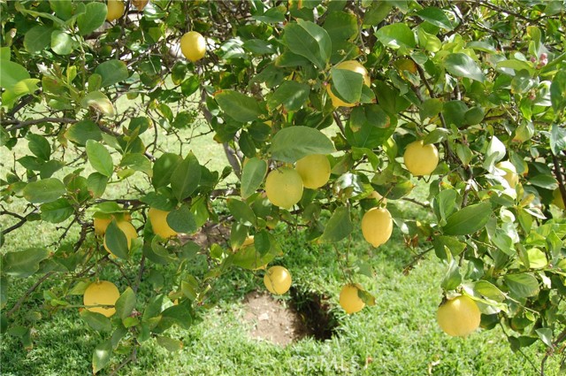 Detail Gallery Image 7 of 18 For 9408 Poplar Ave, Fontana,  CA 92335 - 3 Beds | 2 Baths