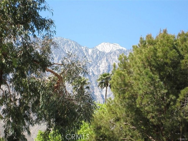 Image 3 for 2857 Los Felices RD #206