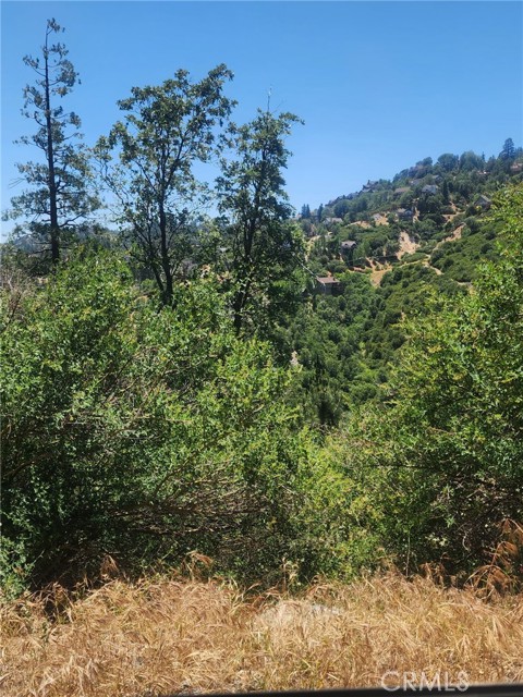 0 Brentwood Drive, Lake Arrowhead CA: https://media.crmls.org/medias/43659ef9-8656-4d43-9c5b-6ae516b2a53e.jpg
