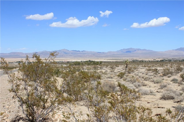 Detail Gallery Image 48 of 71 For 769 Meridian Rd, Lucerne Valley,  CA 92356 - – Beds | – Baths