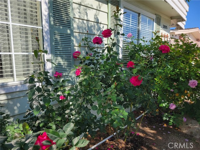 Detail Gallery Image 44 of 46 For 38195 via Taffia, Murrieta,  CA 92563 - 2 Beds | 2 Baths