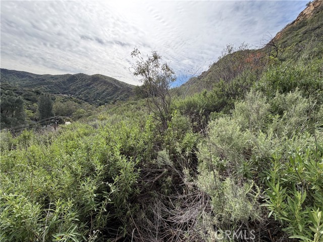 Detail Gallery Image 3 of 16 For 0 Ladd Canyon, Silverado,  CA 92676 - – Beds | – Baths