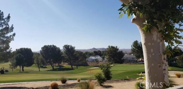 Detail Gallery Image 13 of 23 For 27160 Vista #43,  Helendale,  CA 92342 - 2 Beds | 2 Baths