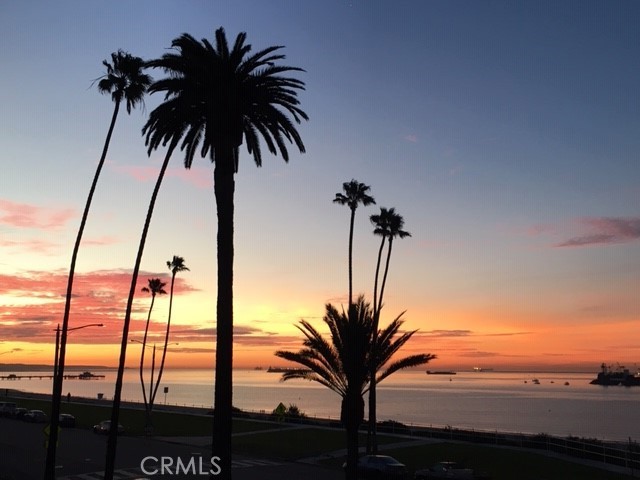 MLS #PW25237940 image #41