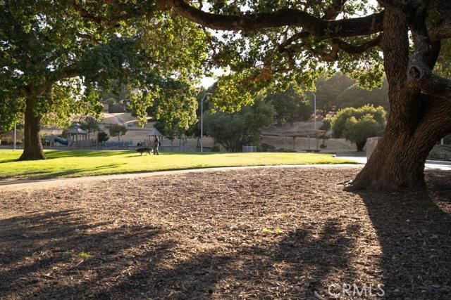 Detail Gallery Image 32 of 34 For 1406 Cedarwood, San Mateo,  CA 94403 - 4 Beds | 2/1 Baths
