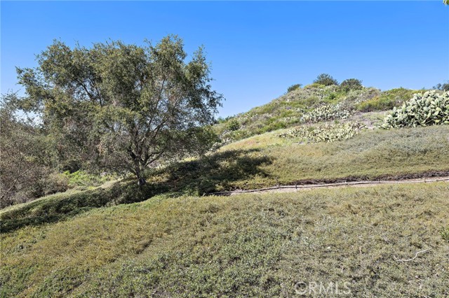 Detail Gallery Image 28 of 42 For 12 Kingfisher Ct, Trabuco Canyon,  CA 92679 - 5 Beds | 2/1 Baths