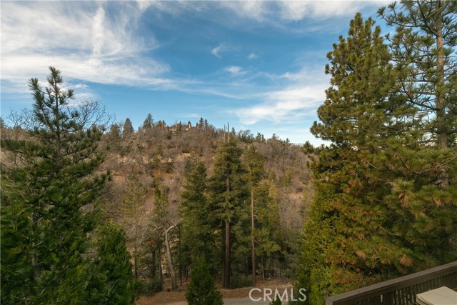 Detail Gallery Image 20 of 39 For 1378 Calgary Dr, Lake Arrowhead,  CA 92352 - 3 Beds | 2/1 Baths