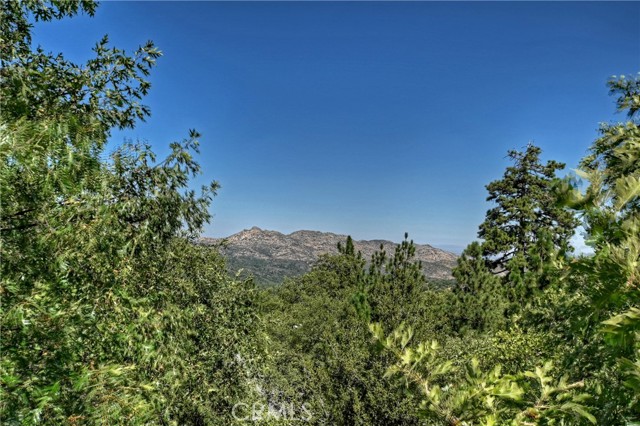 Detail Gallery Image 40 of 70 For 28938 Mammoth Dr, Lake Arrowhead,  CA 92352 - 3 Beds | 2/1 Baths