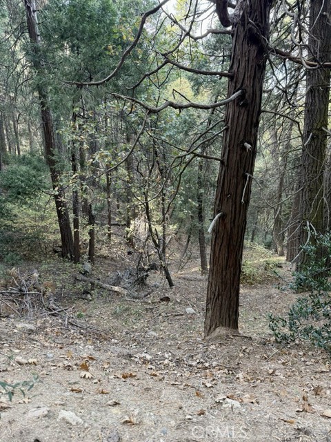 61 Lot - El Valle Road, Cedarpines Park CA: https://media.crmls.org/medias/4376b918-0723-4d17-82b5-fbfe5934548f.jpg