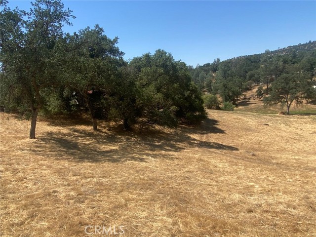 Detail Gallery Image 6 of 10 For 17 Titan Way Way, Coarsegold,  CA 93614 - – Beds | – Baths