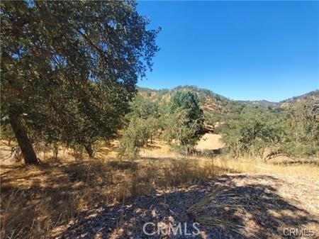 MLS #SC25236278 image #9