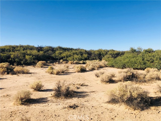 Detail Gallery Image 9 of 14 For 0 E of Mesquite Spr Rd, Twentynine Palms,  CA 92277 - – Beds | – Baths