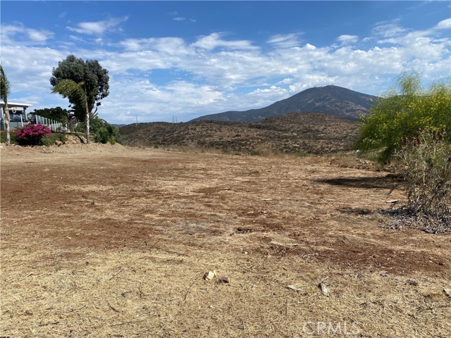 0 Calle Los Arboles, Spring Valley, California 91978, ,Residential Land,For Sale,Calle Los Arboles,AR24148155
