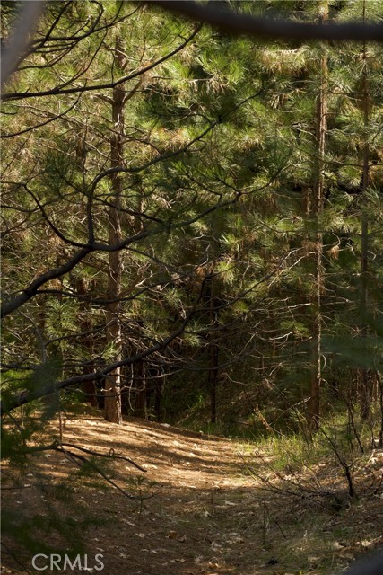 Detail Gallery Image 7 of 10 For 390 E Main, Quincy,  CA 95971 - – Beds | – Baths