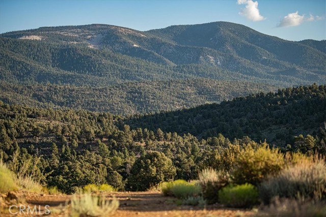 550 Eagle Ridge Rd, Big Bear, CA 92314