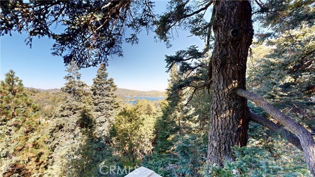 Detail Gallery Image 12 of 69 For 590 Arrowhead Villa Rd, Lake Arrowhead,  CA 92352 - 3 Beds | 2/1 Baths