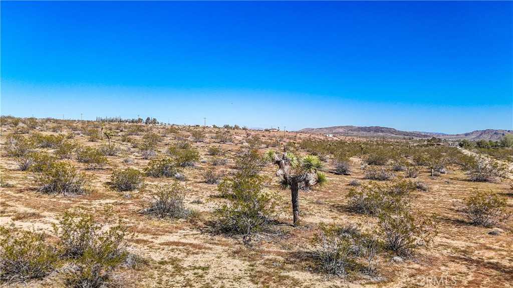 MLS #JT25078936 image #28