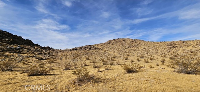 Detail Gallery Image 12 of 25 For 11726 Jasper Ave, Lucerne Valley,  CA 92356 - 1 Beds | 1 Baths