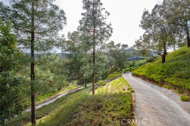 Image 14 of 31 For 24910 Chicory Court