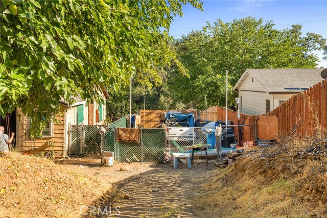Back yard