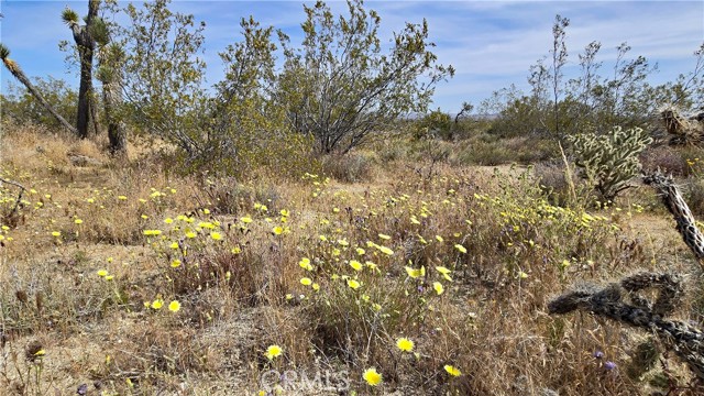 Detail Gallery Image 27 of 49 For 0 103rd St East Vicinity W14, –,  CA 93543 - – Beds | – Baths