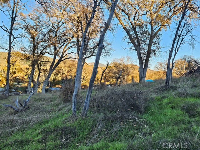 Detail Gallery Image 20 of 28 For 17150 Deer Park, Lower Lake,  CA 95457 - – Beds | – Baths