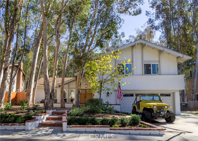 Front Image Thumbnail for CROC25252103