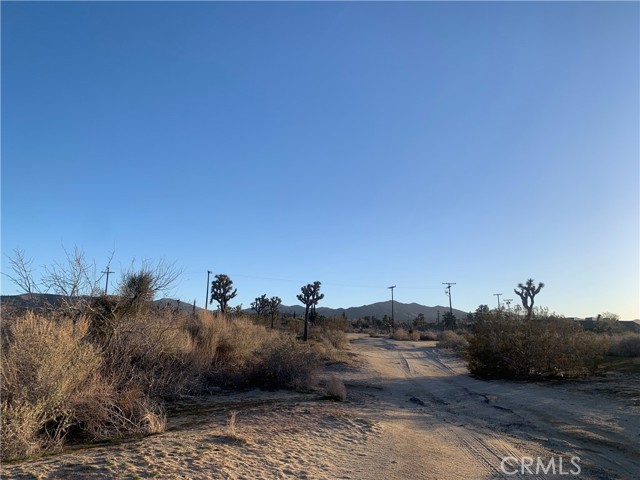 57335 Twentynine Palms, Yucca Valley, California 92284, ,Land,For Sale,57335 Twentynine Palms,CRNP23100972