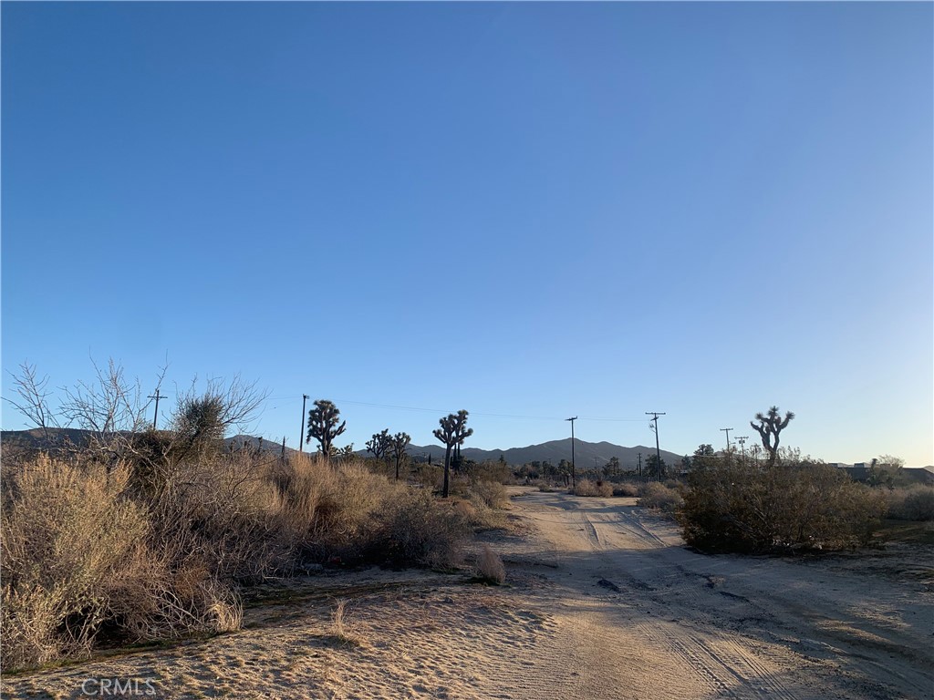 MLS #NP23100972 image #4