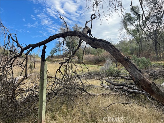 Detail Gallery Image 60 of 69 For 4934 Guadalupe Fire, Catheys Valley,  CA 95306 - – Beds | – Baths