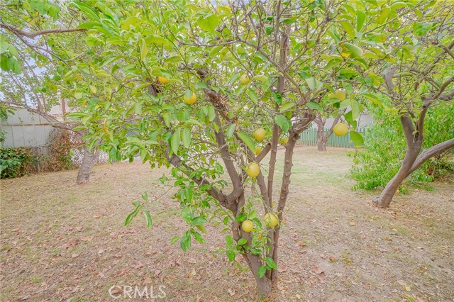 Detail Gallery Image 25 of 50 For 427 N Hicks Ave, East Los Angeles,  CA 90063 - 3 Beds | 2 Baths