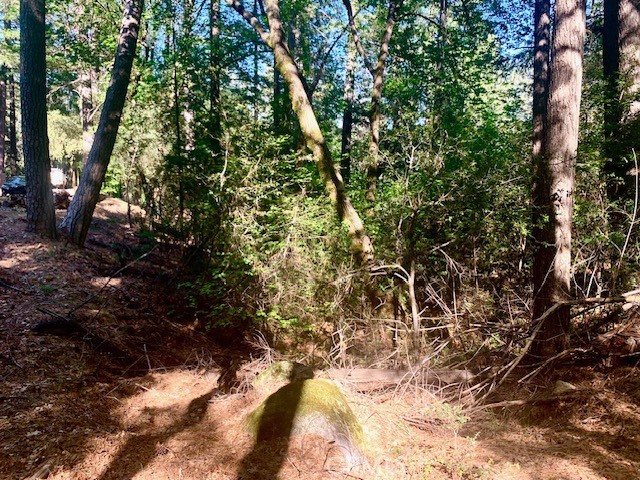 Image 4 of 7 For 17325 Fernbrook