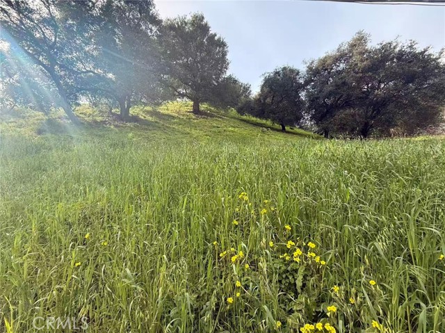 Front Image Thumbnail for CROC26016361